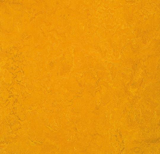 3125-312535 golden sunset