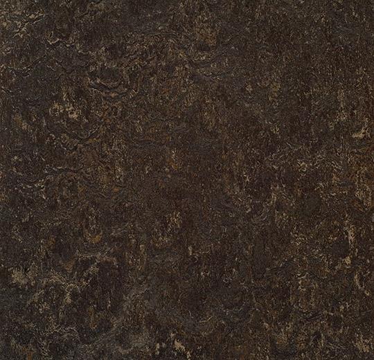 3236-323635 dark bistre