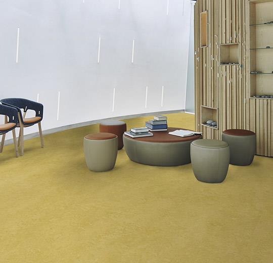 3259-325935 mustard (2)