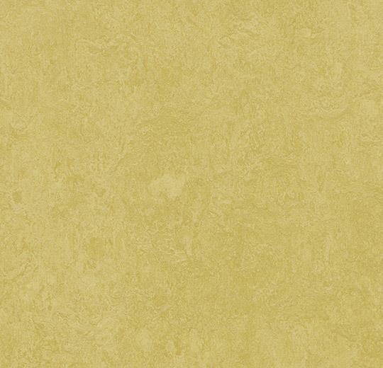 3259-325935 mustard