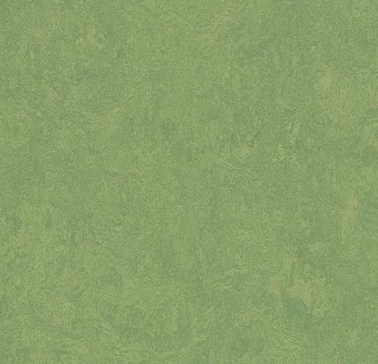 3260-326035 leaf