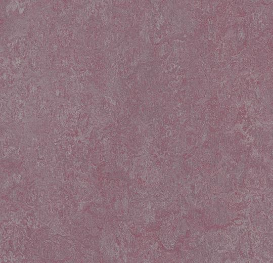 3272-327235 plum