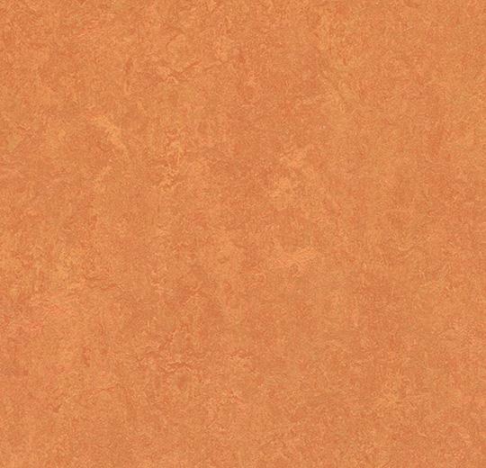 3825-382535 African desert