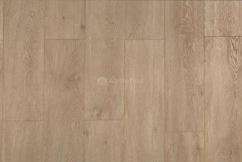 ECO 11-5 ГРАНД СЕКВОЙЯ КАМФОРА