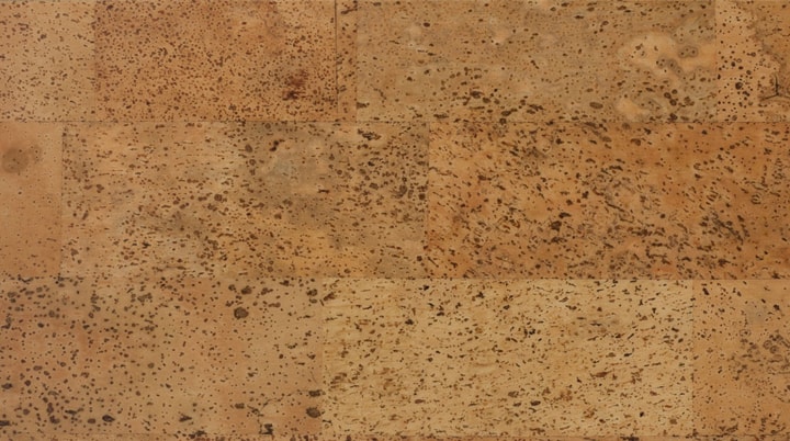 Harmony O 821