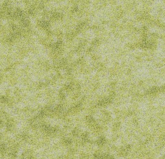 s290014 Calgary lime
