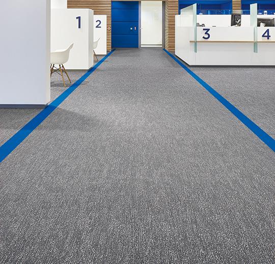 s445022 Canyon limestone