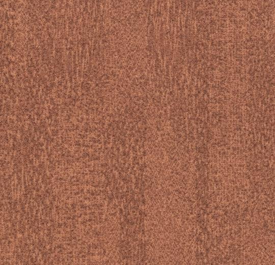 s482019 Penang ginger