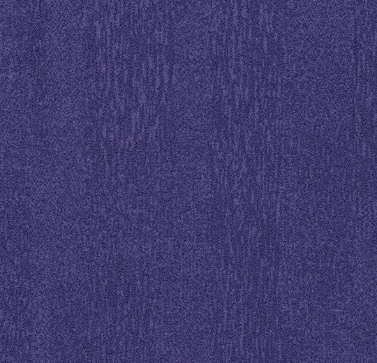 s482024 Penang purple