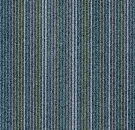 t550007t553007 Complexity blue